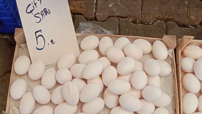 Balıkesir’de Çift sarılı yumurta Altın Değerinde