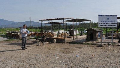 Besleme Noktasında Yiyecek Hırsızlığı İddiası Güvenlik Kamerasıyla Tespit Edildi