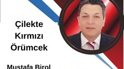 Çilekte Kırmızı Örümcek