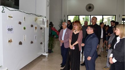 Bitkilerin Sırlı Dünyası Tuale Döküldü