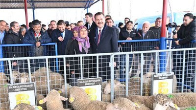 Büyükşehir'den Balıkesir Kuzusu İçin Destek