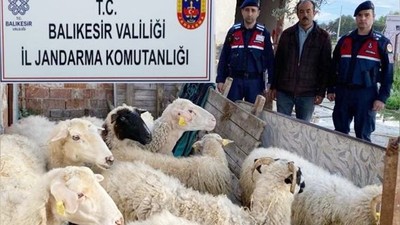 Dolandırıcılar Balıkesir'de Koyun Alıp EFT'yi İptal Ederek Kaçtı