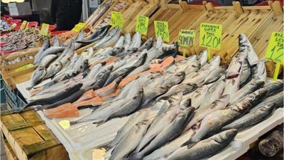 Hamsi Fiyatlarında Sevindiren Haber