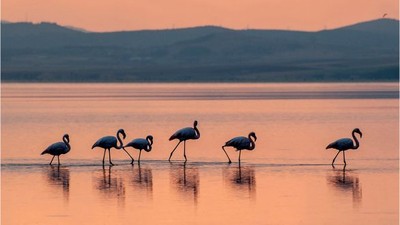 Kuva-yı Milliye Şehri Objektiflere Yansıdı