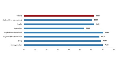 TUİK Yurt Dışı Üretici Fiyat Endeksini Açıkladı