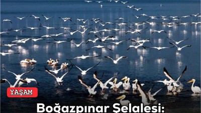 Boğazpınar Şelalesi: Doğanın Kucağında Bir Büyü
