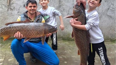 İznik Gölü'nde 25 kiloluk sarı balık yakalandı