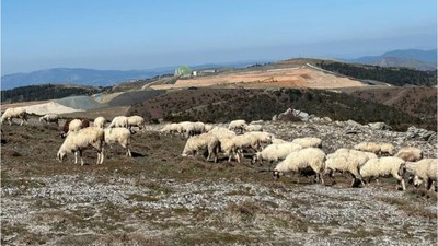 Burhaniye Çevre Platformu Su Mücadelesini Büyütüyor