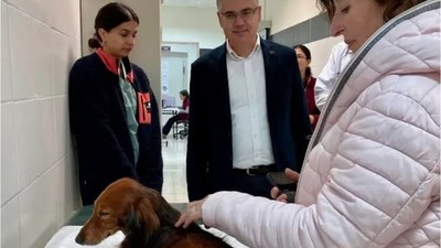 Balıkesir'de Hayvan Refahına Destek
