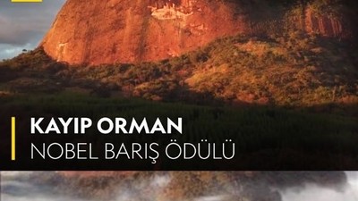 ‘Kayıp Orman’ Yağmur Ormanlarının Arasında Bir Yer