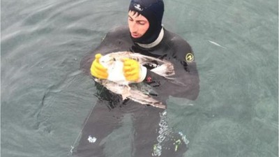 Balıkesir Dalış Köyü'nde Cesur Müdahale