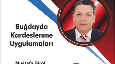 BUĞDAYDA KARDEŞLENME UYGULAMALARI