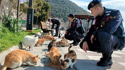 Balıkesir'in Binlerce Can Dostu Karnını Doyurdu!