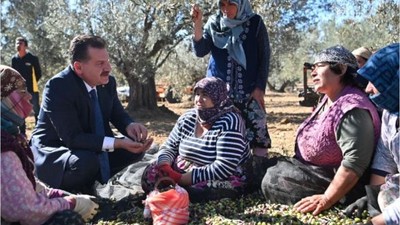 Zeytin Üreticilerine Verilen Destek Artıyor
