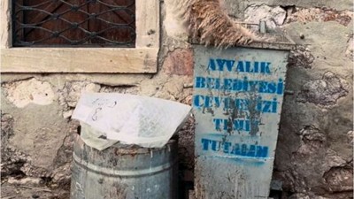 Ayvalık'ın 'Vazo' Çöp Kutuları Sosyal Medyanın Gündeminde