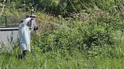 Balıkesir'de Huzurlu Bir Yaz İçin Çalışmalar Başladı