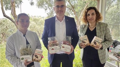 Balıkesir'de Üretilen Organik Makarna ve Çikolata Dünya Pazarında