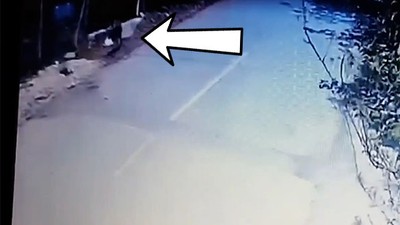 Başı Boş Köpek Ziynet Eşyası Çaldı