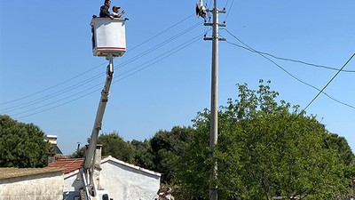 Boynuna İp Dolanan Leylek Son Anda kurtarıldı