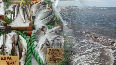 Gömeç'te Balıkçılara Eş Zamanlı Denetim