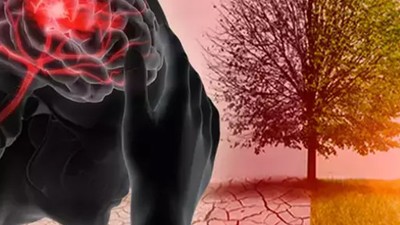 İklim Değişikliği Yarım Milyondan Fazla Felç Ölümüne Yol Açtı