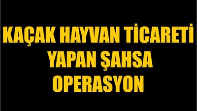 Kaçak Hayvan Ticareti Yapan Şahsa Operasyon