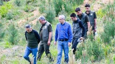 Müdür Kayıran Bandırma İçin En Verimli Ağacı Belirledi