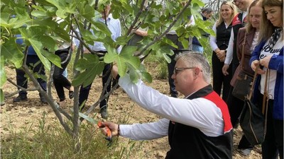 Siyah İncirin Verimini Artırmak İçin Buluştular