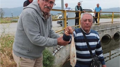Balıkesir'de Doğal Sit Alanı Kırmızı Alarm Veriyor!
