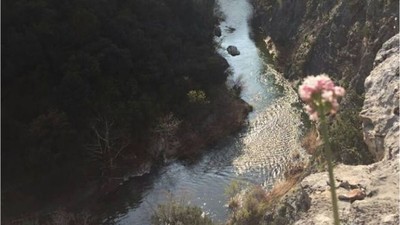 Balıkesir'in Gizli Kanyonu: Şehir Sakinleri Bile Bilmiyor!