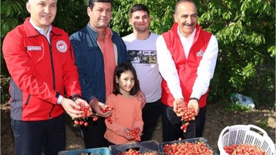 Türkiye'nin Kiraz İhracatında Hedefi 250 Milyon Dolar!