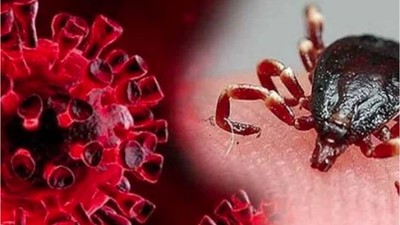 Uzmanlardan Vaka Uyarısı! Ölümler Erken Başladı