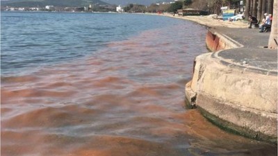 Marmara Denizi'nden Kırmızı Alarm!