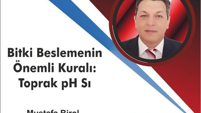 BİTKİ BESLEMENİN ÖNEMLİ KURALI: TOPRAK pH SI