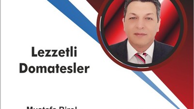 LEZZETLİ DOMATESLER