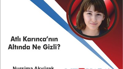 Atlıkarınca’nın Altında Ne Gizli?