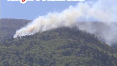 Uludağ eteklerinde çıkan yangın söndürüldü