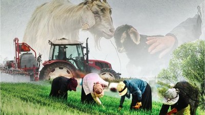 14 Mayıs'ın Önemi: Dünya Çiftçiler Günü
