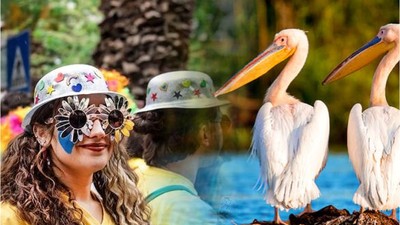 Balıkesir'de Festivaller Başlıyor