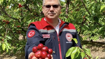 Bu Meyve İlk Defa Balıkesir'de Yetiştirildi