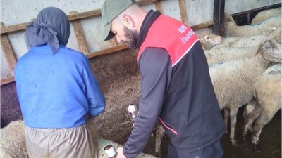 Kepsut'ta Hayvan Sağlığında Yeni Adım