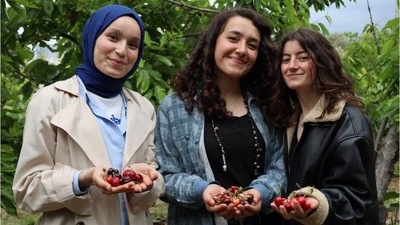 Kiraz Hasadında Hedef: 300 Milyon Dolar