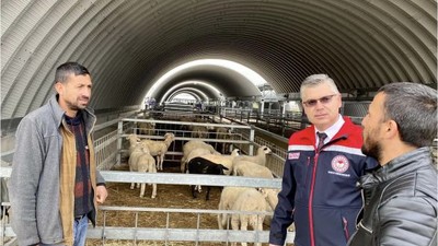 Müdür Alkan: "Kurbanlık Seçiminde Bunlara Dikkat Edin"