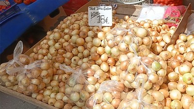 Soğan Tarlada 5 Pazarda 15TL