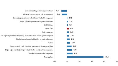 TUİK Nisan Ayı Tarım Ürünleri Üretici Fiyat Endeksi Verilerini Açıkladı