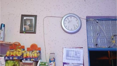 Manyas'ta Sağlık Alarmı! İstila Altında