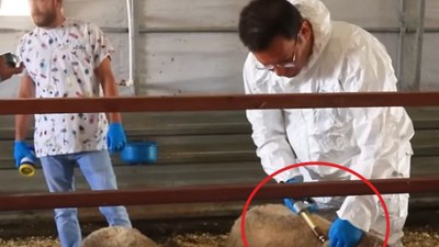 Başkan Sak Aşılarını Bizzat Kendisi Yaptı!
