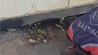 Konteyner altında kalan yavru köpek itfaiye tarafından kurtarıldı