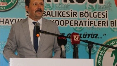 20. Yılını Kutlayan HAYKOOP’tan Dünya Rekorları
