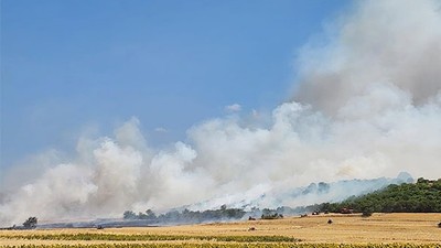 Balıkesir'de Orman Yangını: Müdahale Sürüyor